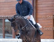 Dahila della Verdina Tosc Tour2013- S5 1787 : Arezzo, Cavalli d'Italia, Dahila della Verdina, Toscana Tour 2013, foto di Stefano Secchi ©